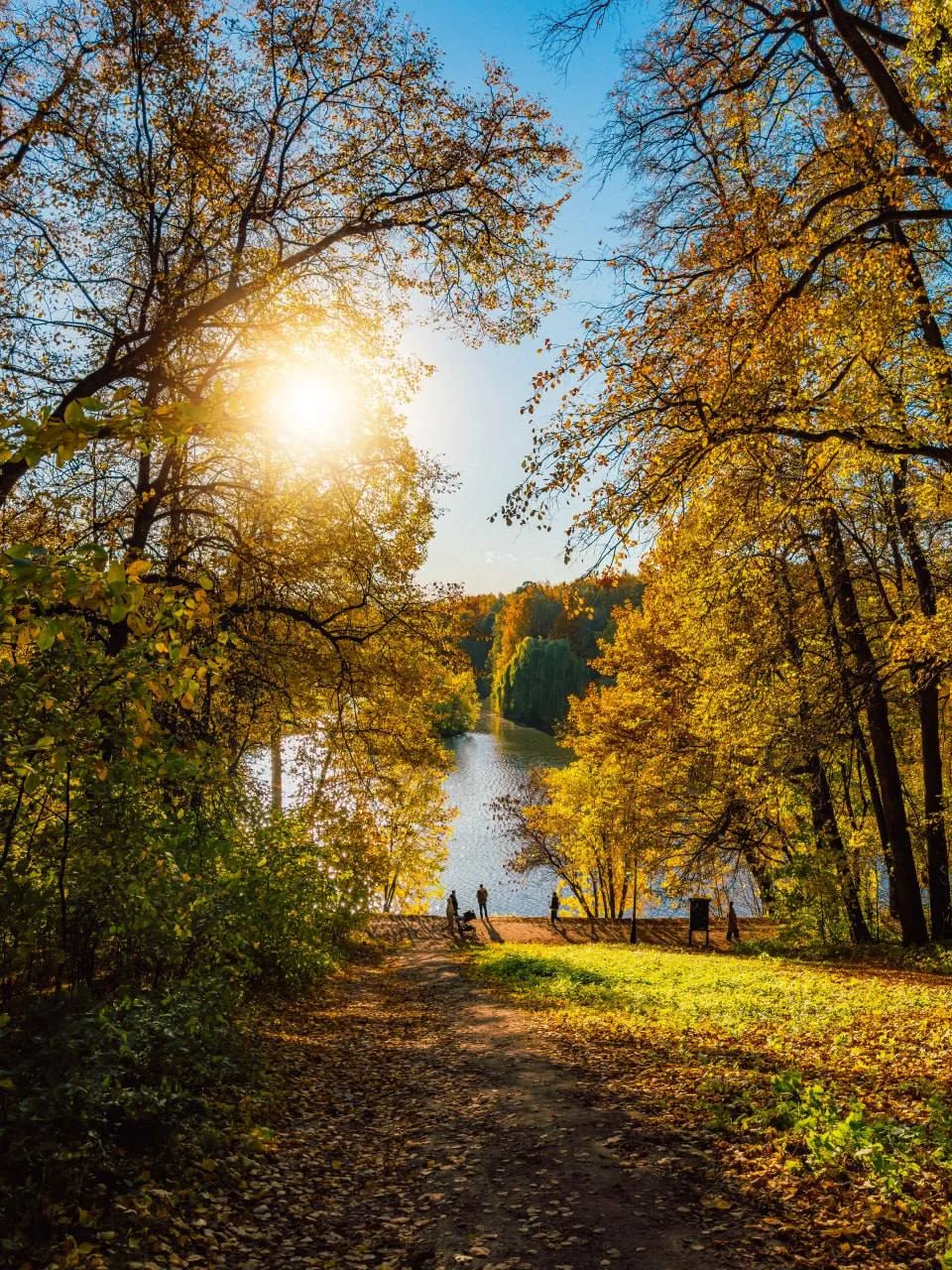 В дождливые дни хочется вспомнить о солнце ☀