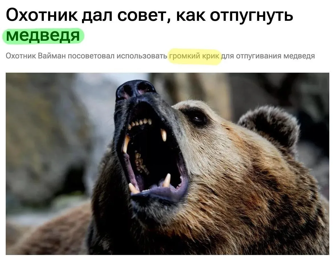 Советы специалистов при встрече с медведем