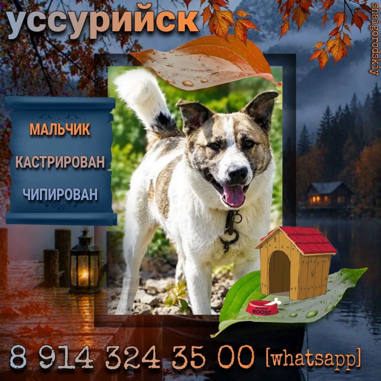 Приморский край