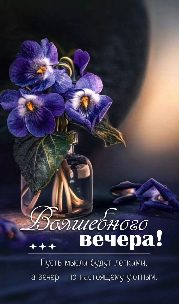 #ВолшебногоВечера 💜