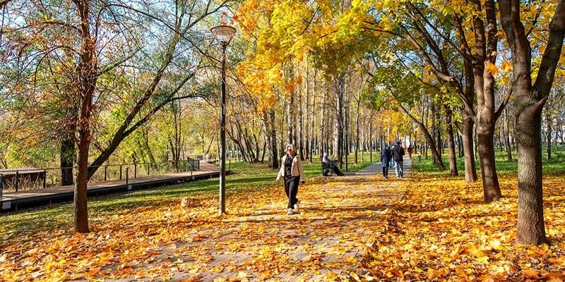 🍁 Среда — идеальный день, чтобы поймать Московскую музейную неделю 🍁