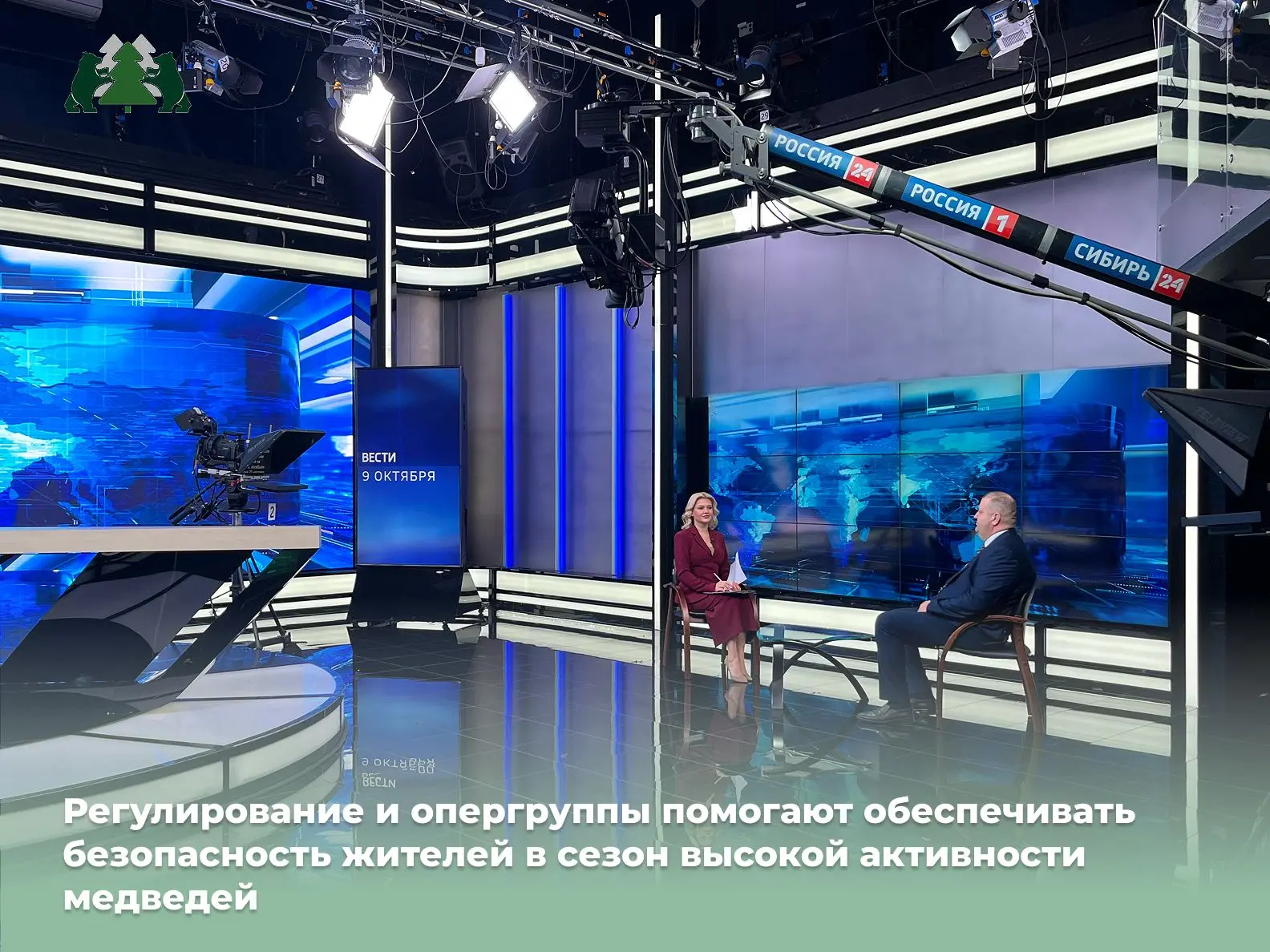 🐻 С начала года в регионе отмечено 70 случаев выхода бурых медведей вблизи населённых ...