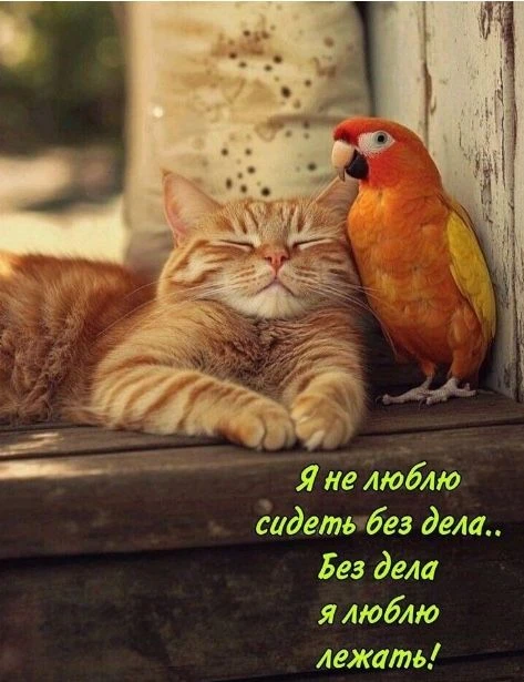 Сегодня – воскресенье, а значит, есть время порадовать себя пассивным отдыхом. Наслажда...