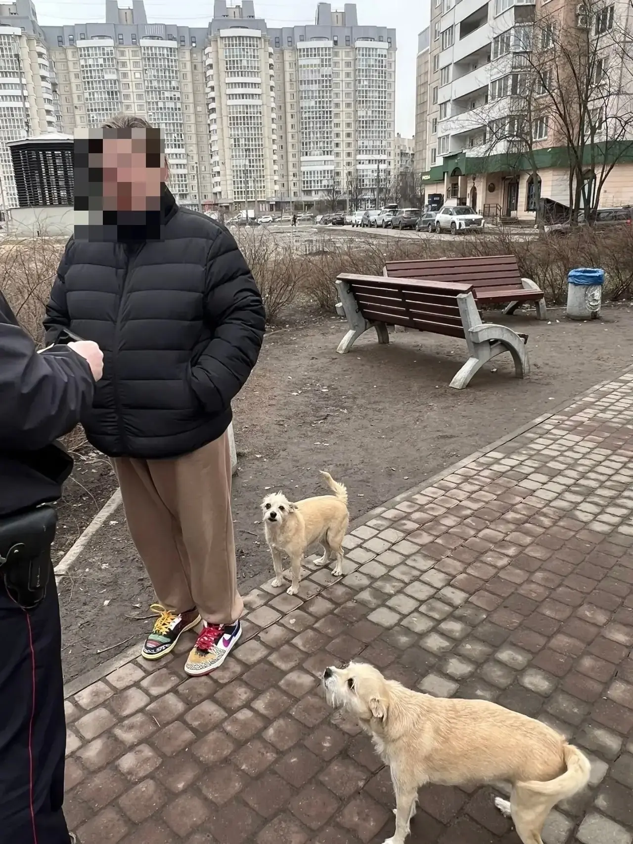 Штрафы за нарушение выгула собак в Санкт‑Петербурге