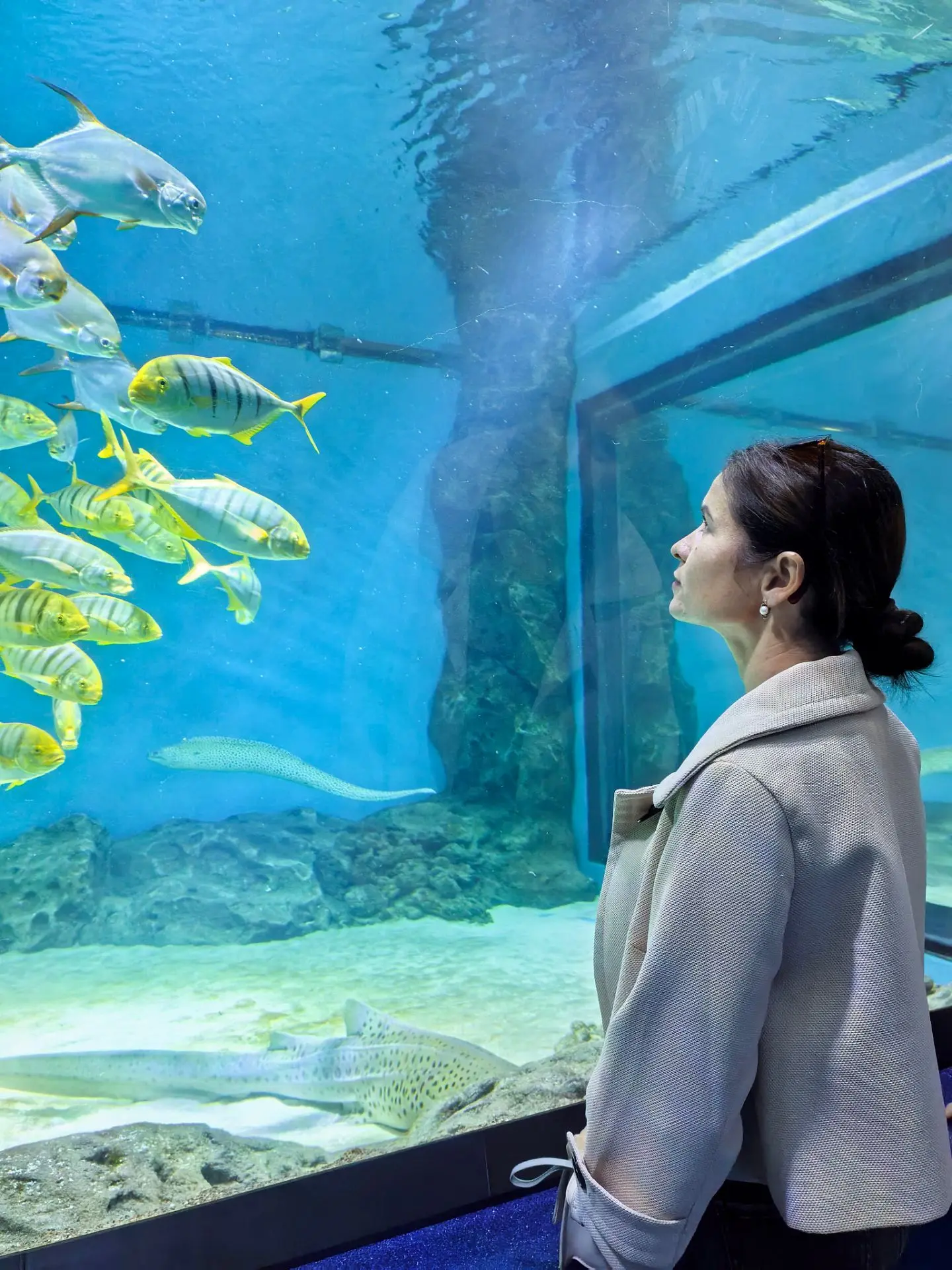 🐠 Почему я смотрю на рыб, когда у меня горят дедлайны (и не только)
