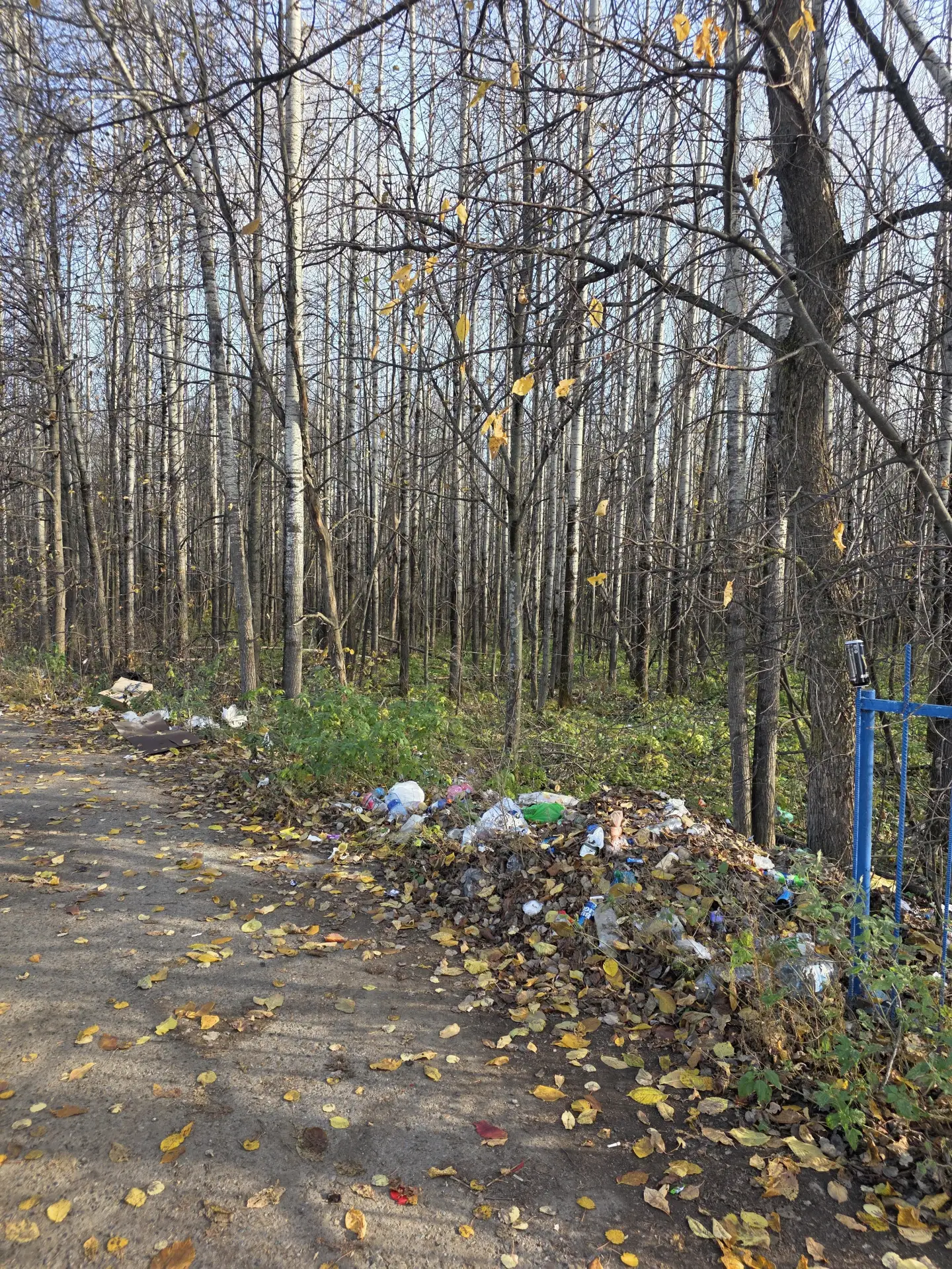 Кафе возле Архангельска, трасса Уфа - Белорецк
