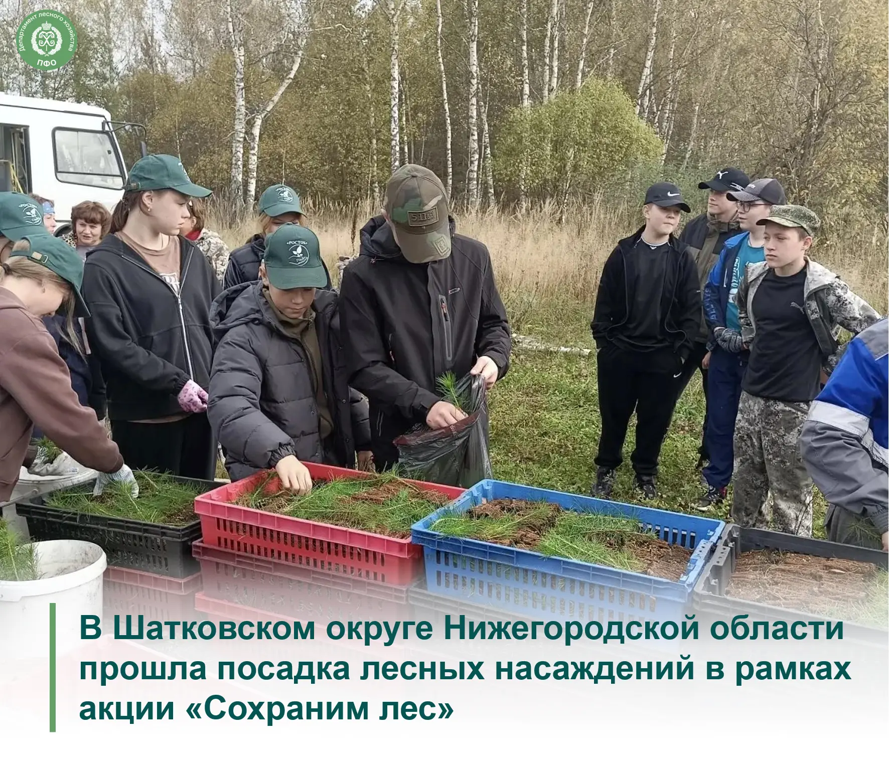 🌲 Лесовосстановительные работы развернулись на территории площадью 2 гектара, где спец...