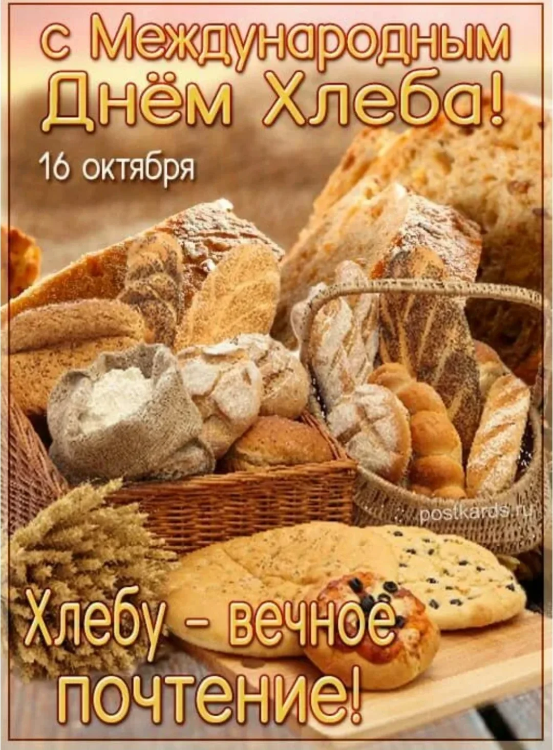 Доброе солнечное утро! 🌞🍁