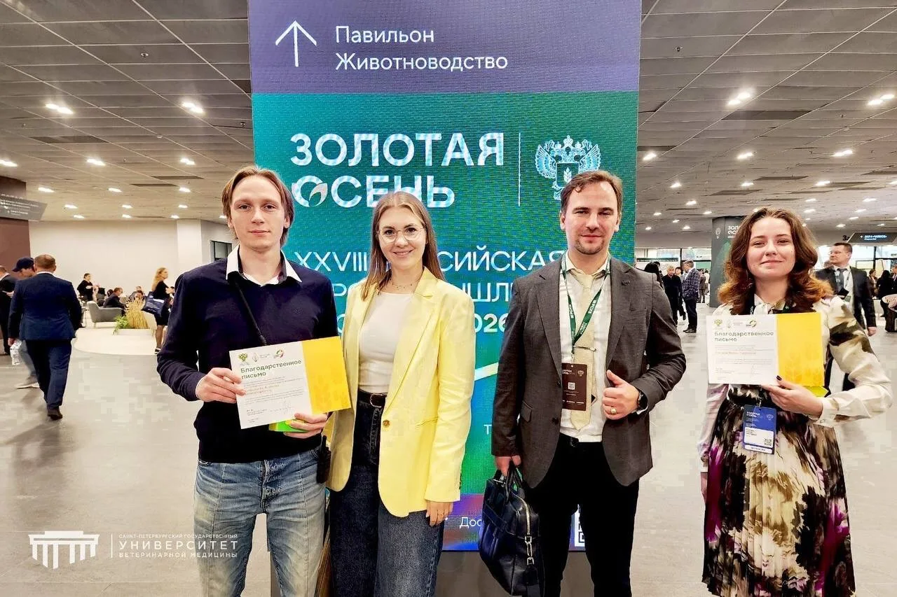 🍂 #СПбГУВМ на ежегодной крупномасштабной выставке #ЗолотаяОсень2026