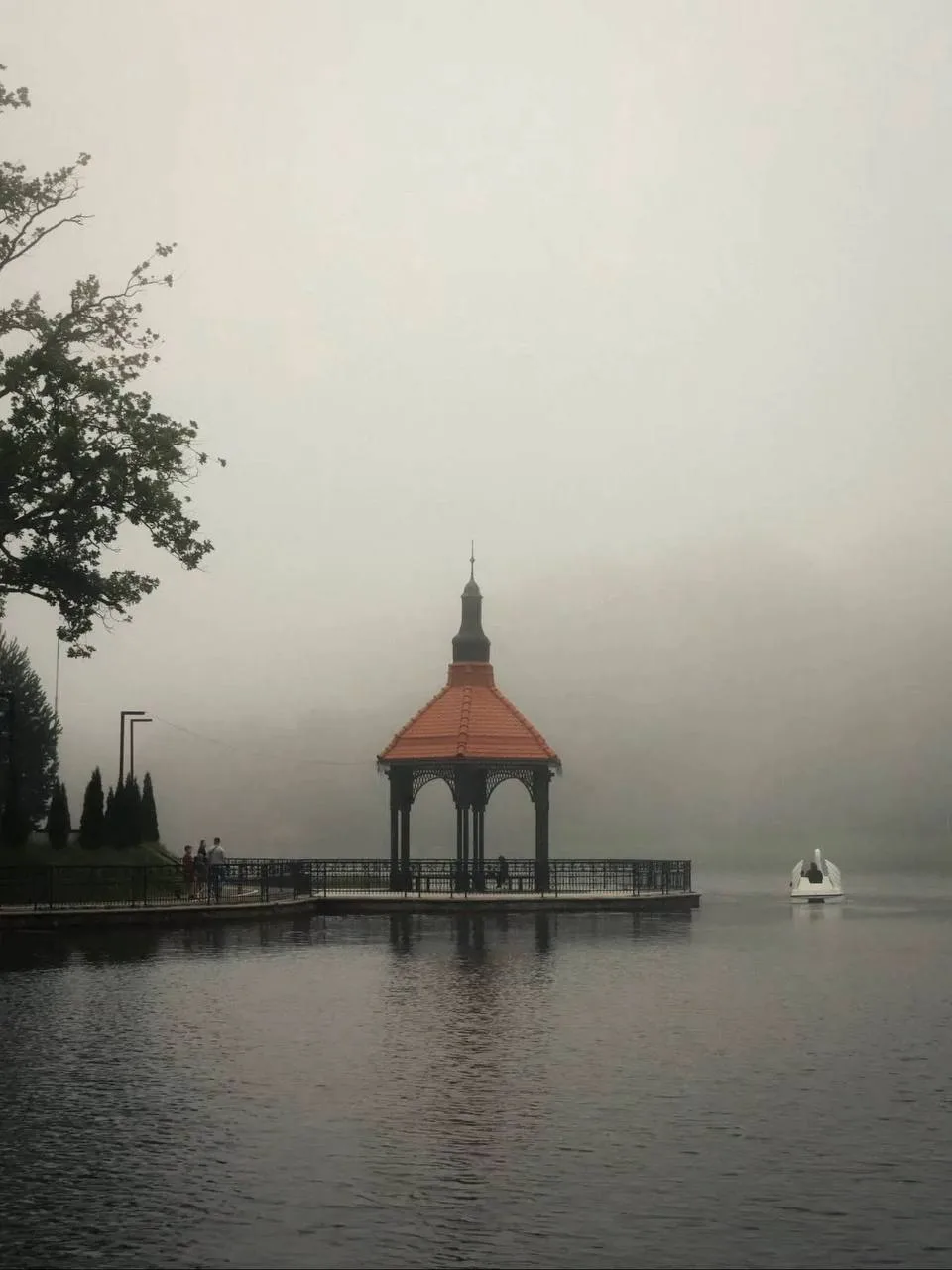 Туманная история на Мельничном пруду (нем. Mühlenteich) 🌫️