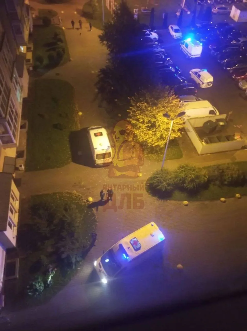 ЯНТАРНОЕ НЕДОБРОЕ