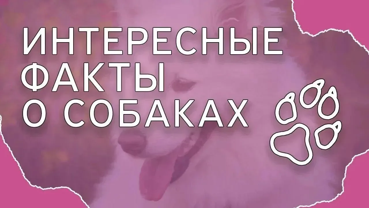 ❓А вы знаете?