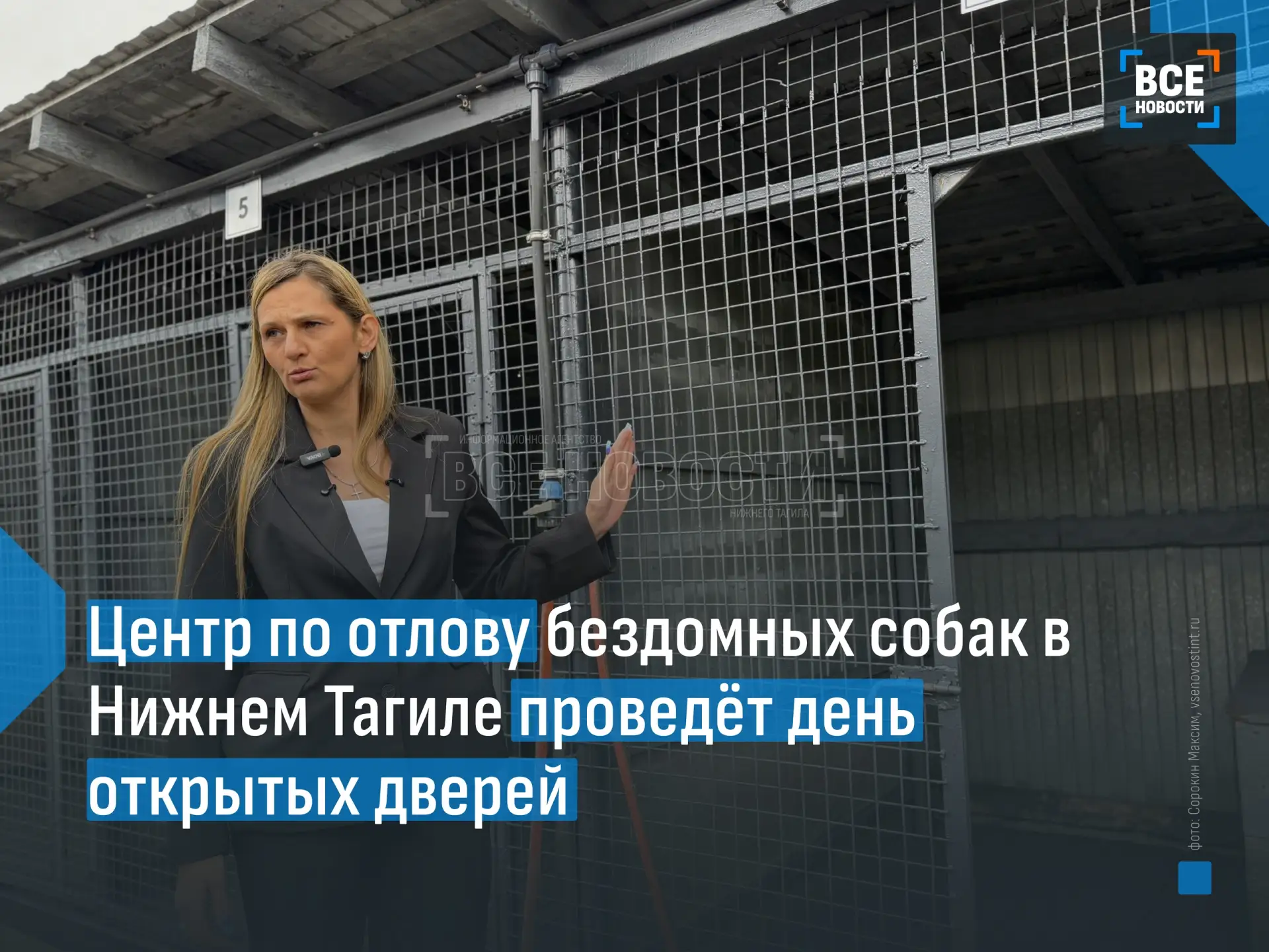 🐶 У муниципальной службы отлова, созданной в Нижнем Тагиле на базе «Тагилдорстроя», по...