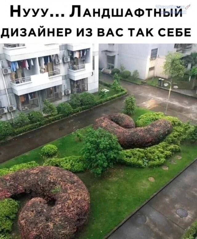 Дизайнера обидеть может каждый