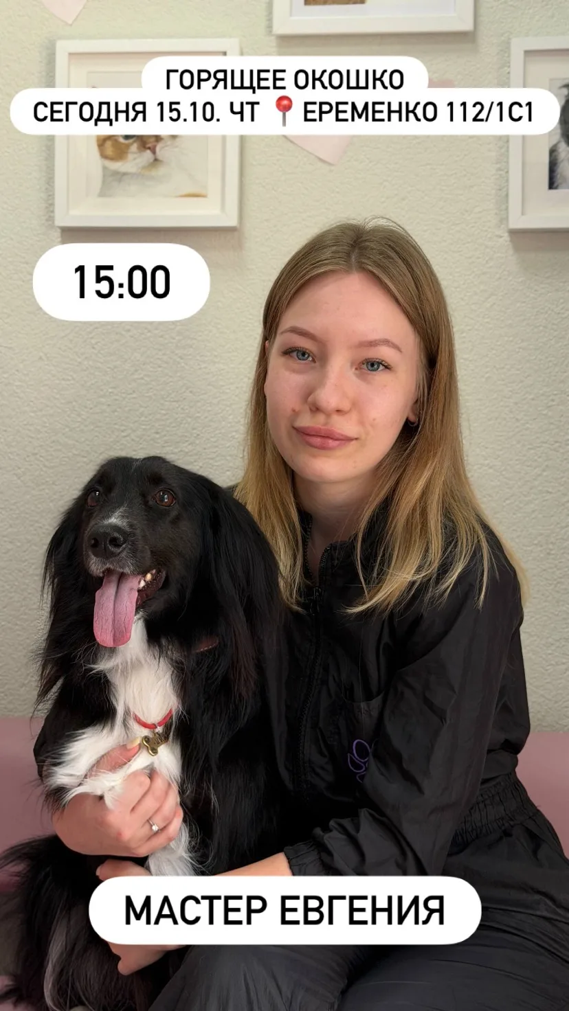 Горящее окошко на сегодня на Еременко 112/1с1🐾