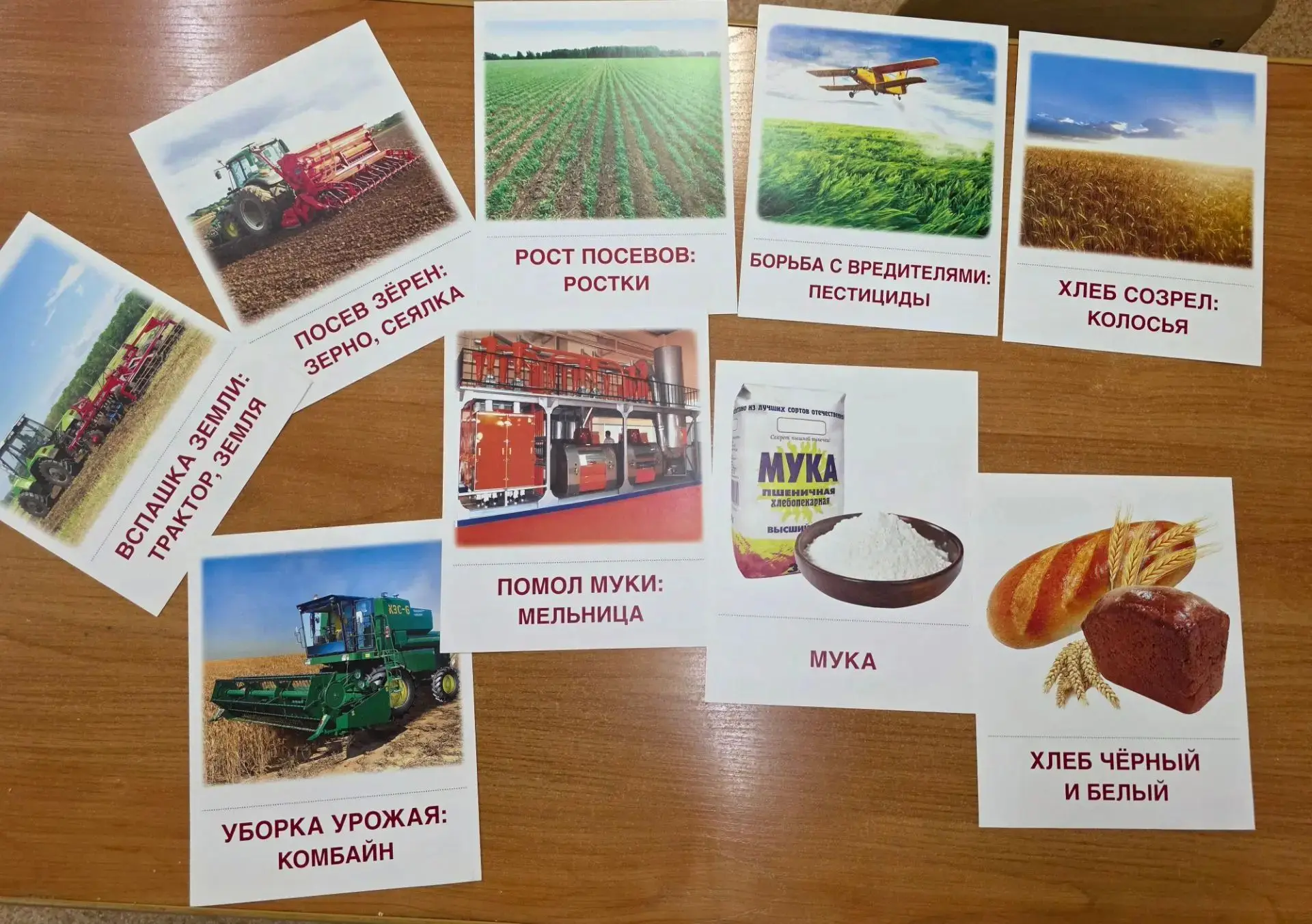 «Хлеб — всему голова»