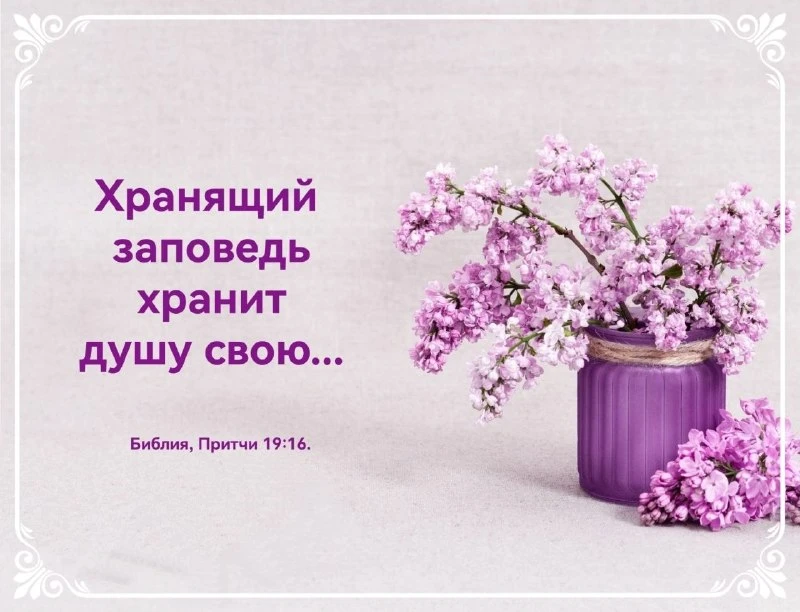 Божьей милости вашему дому 🙏