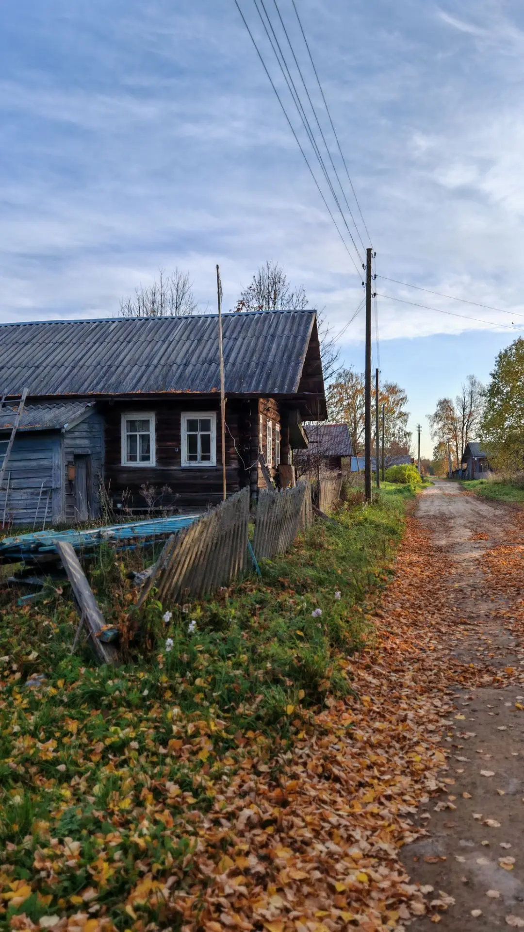 Немного фотографий из поездки в Вологодскую область, без лиц и трофеев)