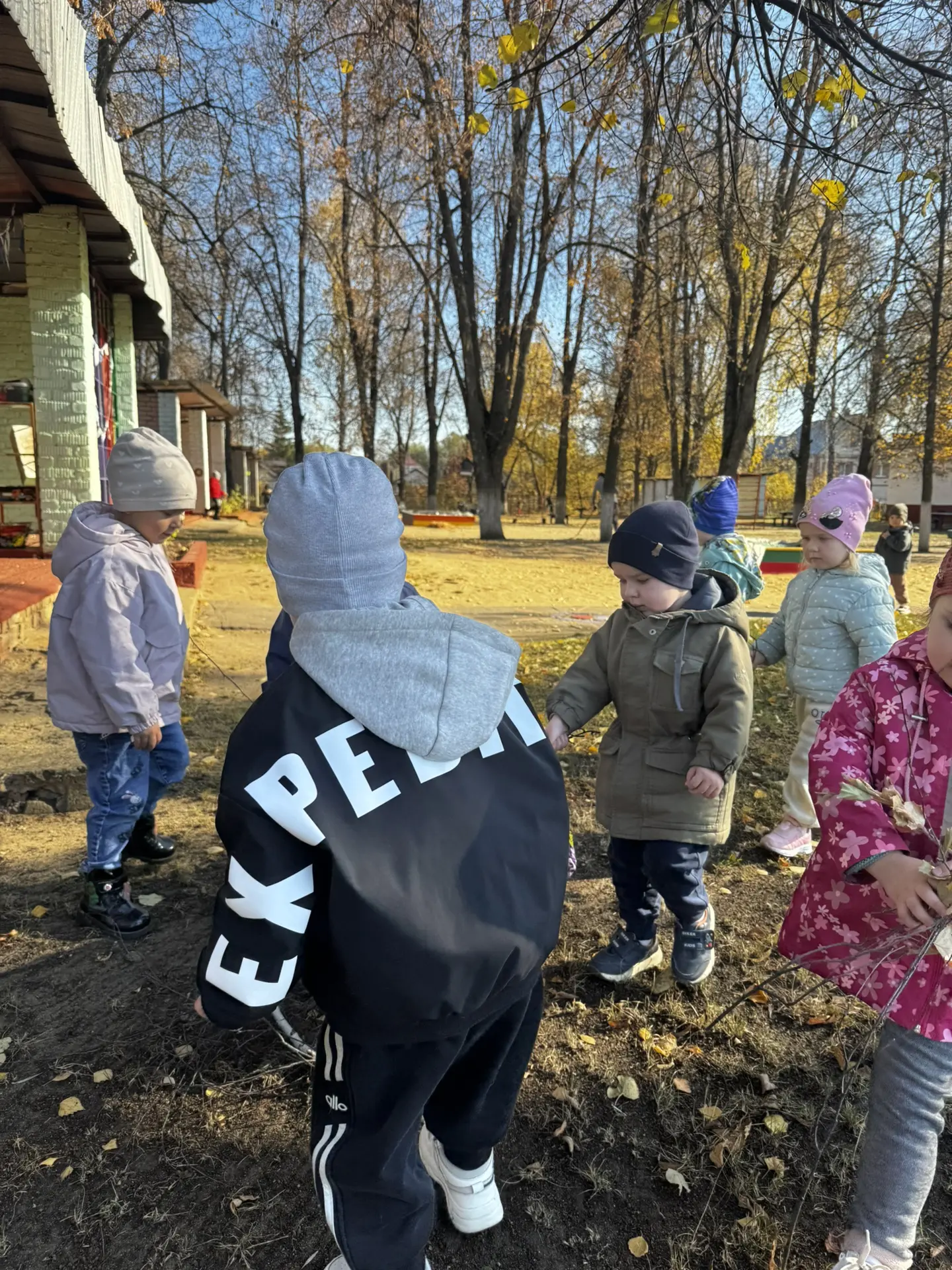 🍂 Мы — помощники: собираем веточки на прогулке! 🍂