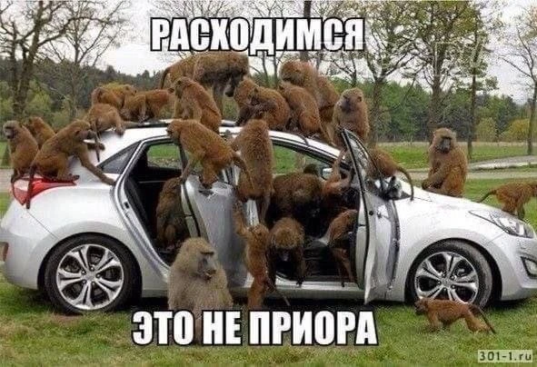 Подписаться
