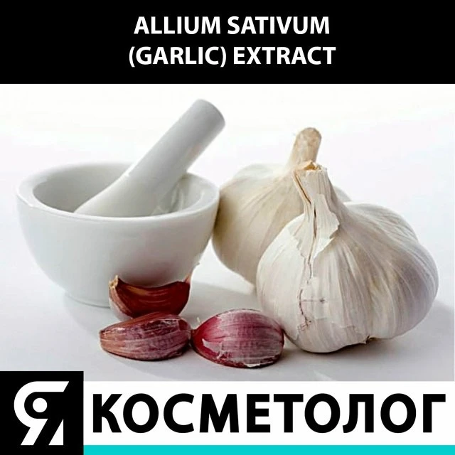 🙋 ALLIUM SATIVUM (GARLIC) EXTRACT.