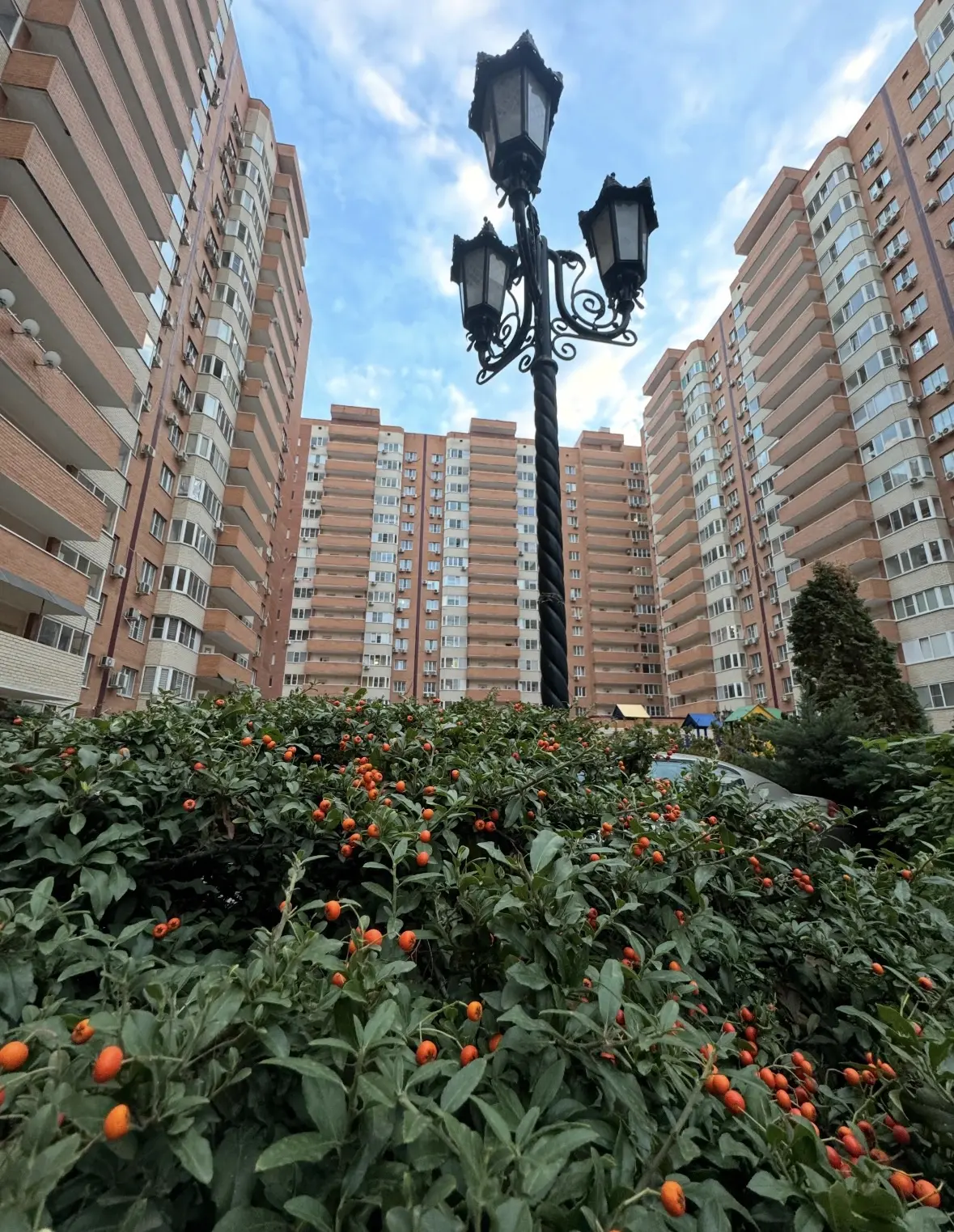 Доброе утро!