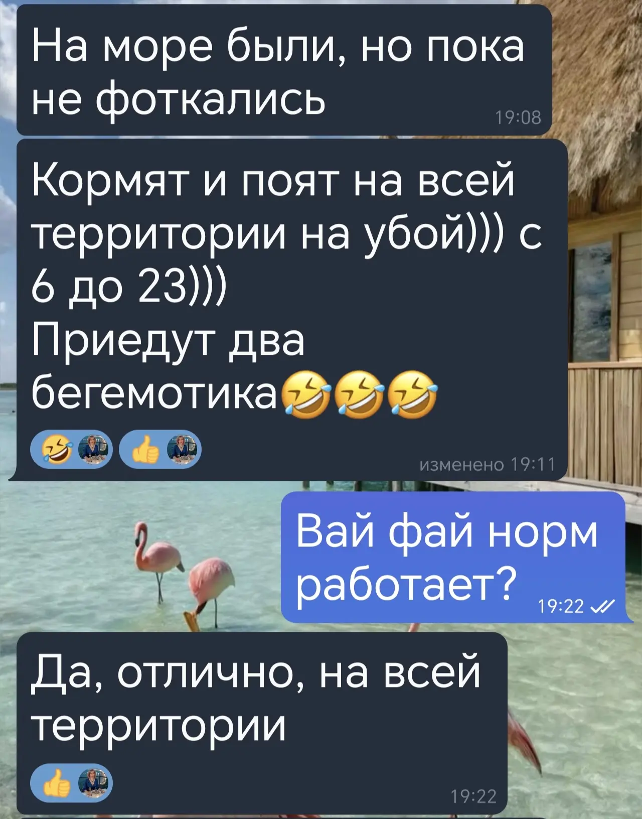 ⚡️Роскошный отель в окружении садов и бассейнов в форме лагуны. Собственный песчаный пл...
