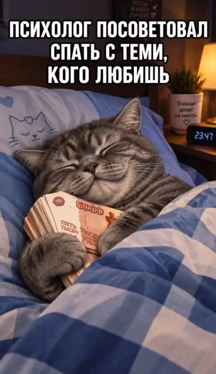 #спокойнойночи