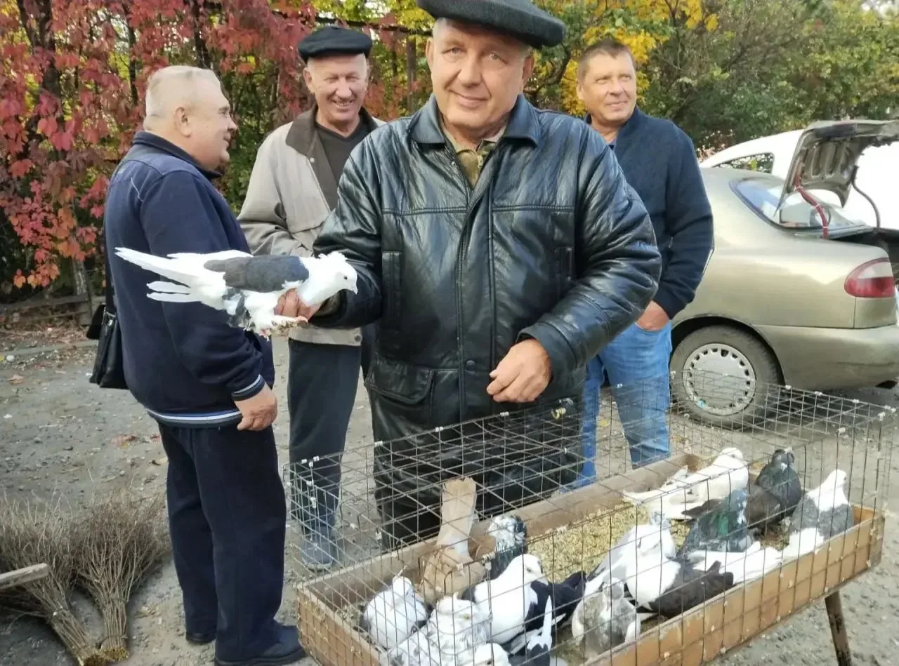 🕊️ В Червоногвардейском районе Макеевки прошла выставка голубей