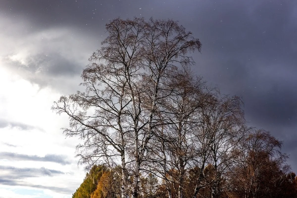 🌧️ Карелия готовится к дождю и снегу
