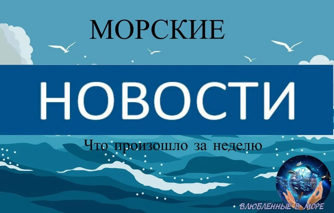 События 5 - 11 октября.Читайте и смотрите статью по ссылке-