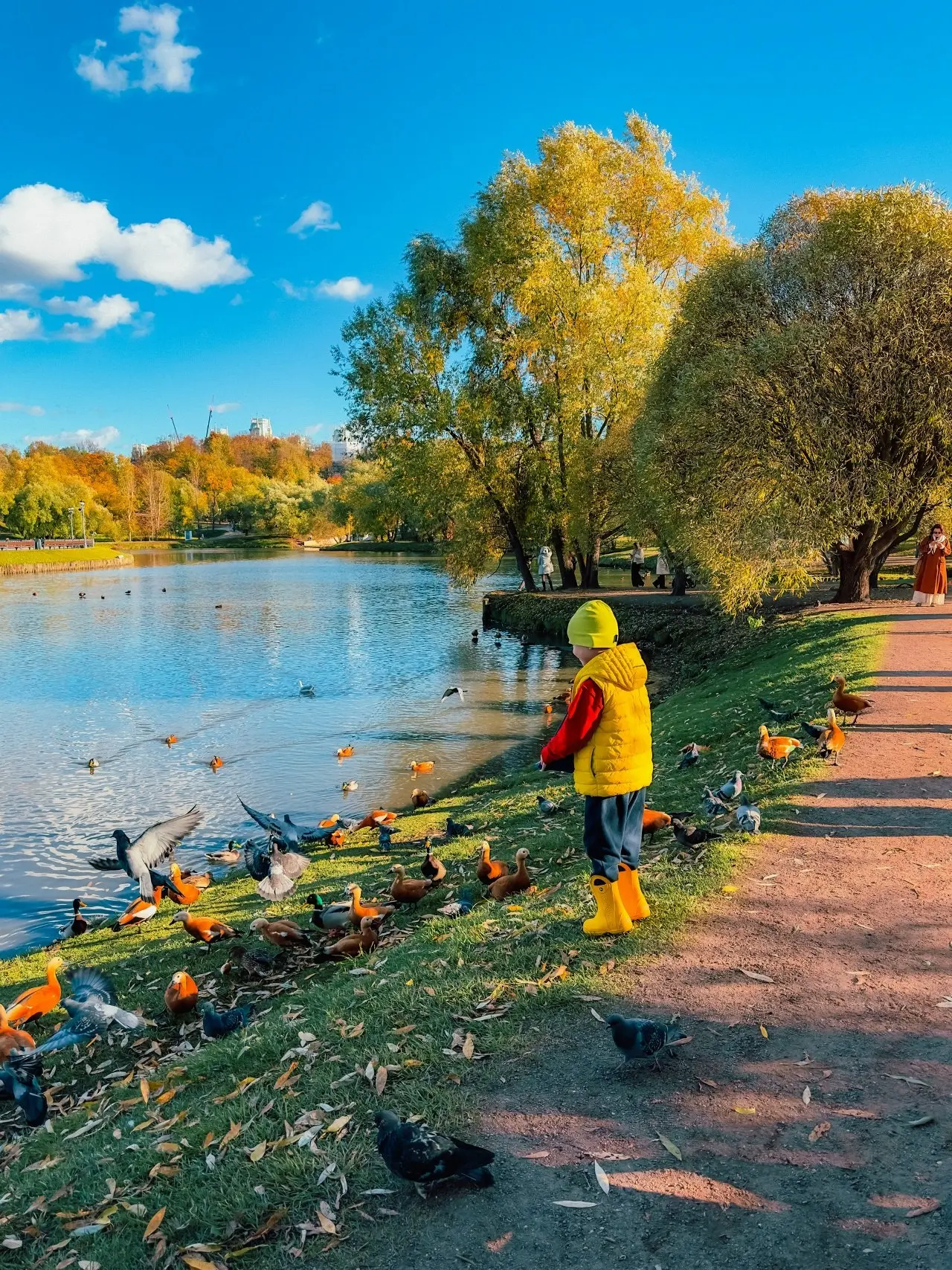 Московская осень 🐞🌟🍂
