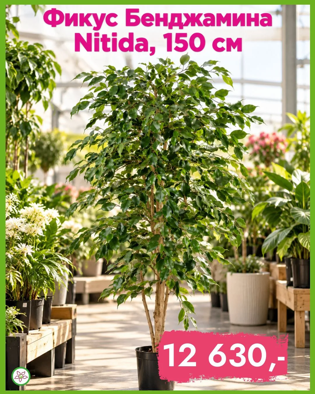 🌿 Одно крупное искусственное растение вместо десятка мелкого декора