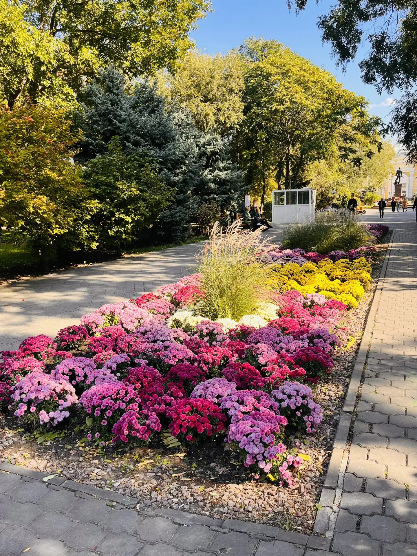 Прекрасная осень в Астрахани 🌺
