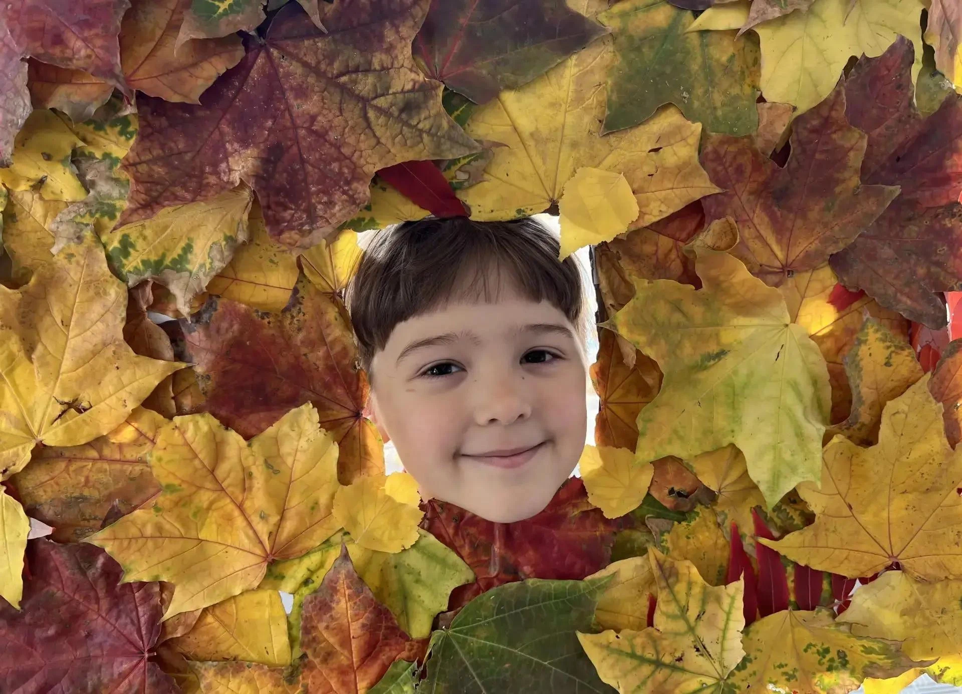 🍁Осень — это время, когда природа окрашивается в яркие цвета, а каждый лист становится...