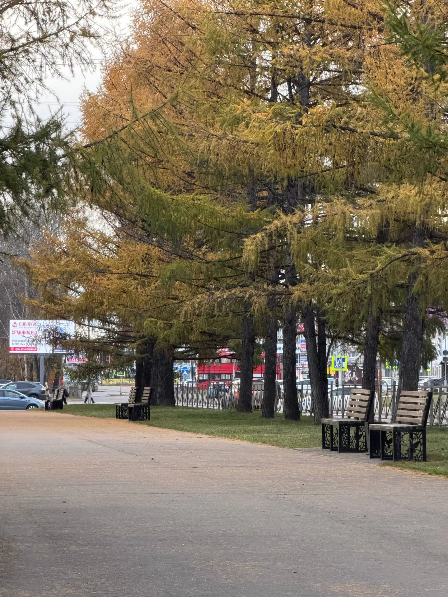 Осенний Ангарск 🍂🍁