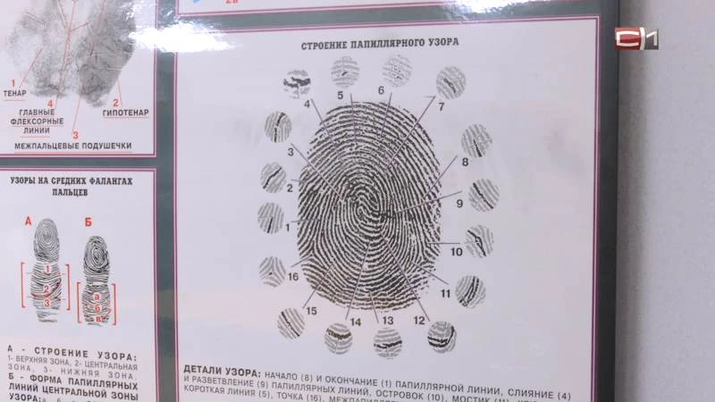 Сургутские школьники примерили на себя роль настоящих следователей