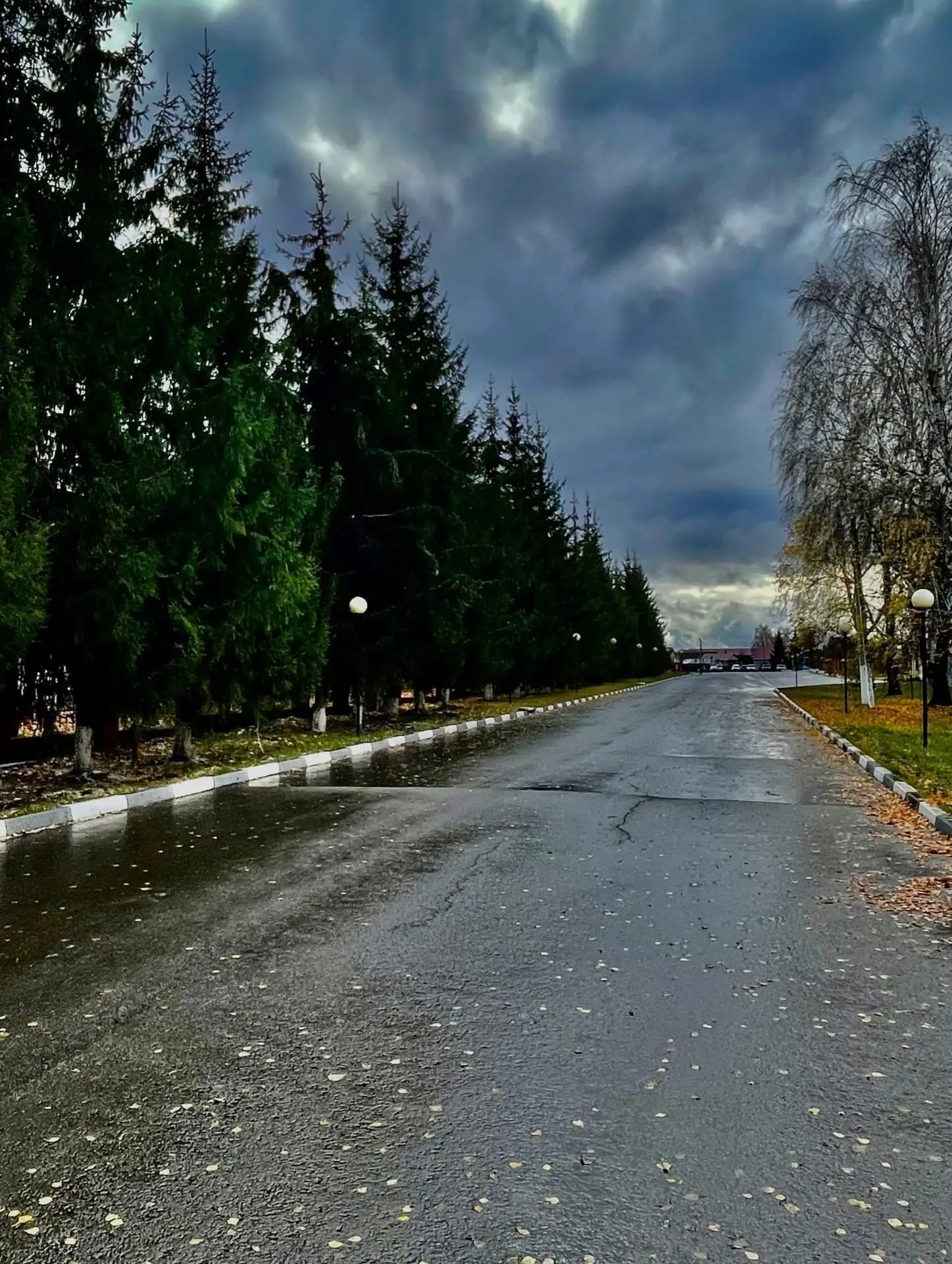 Оставляем все дневные заботы позади. Время отдыхать 💫