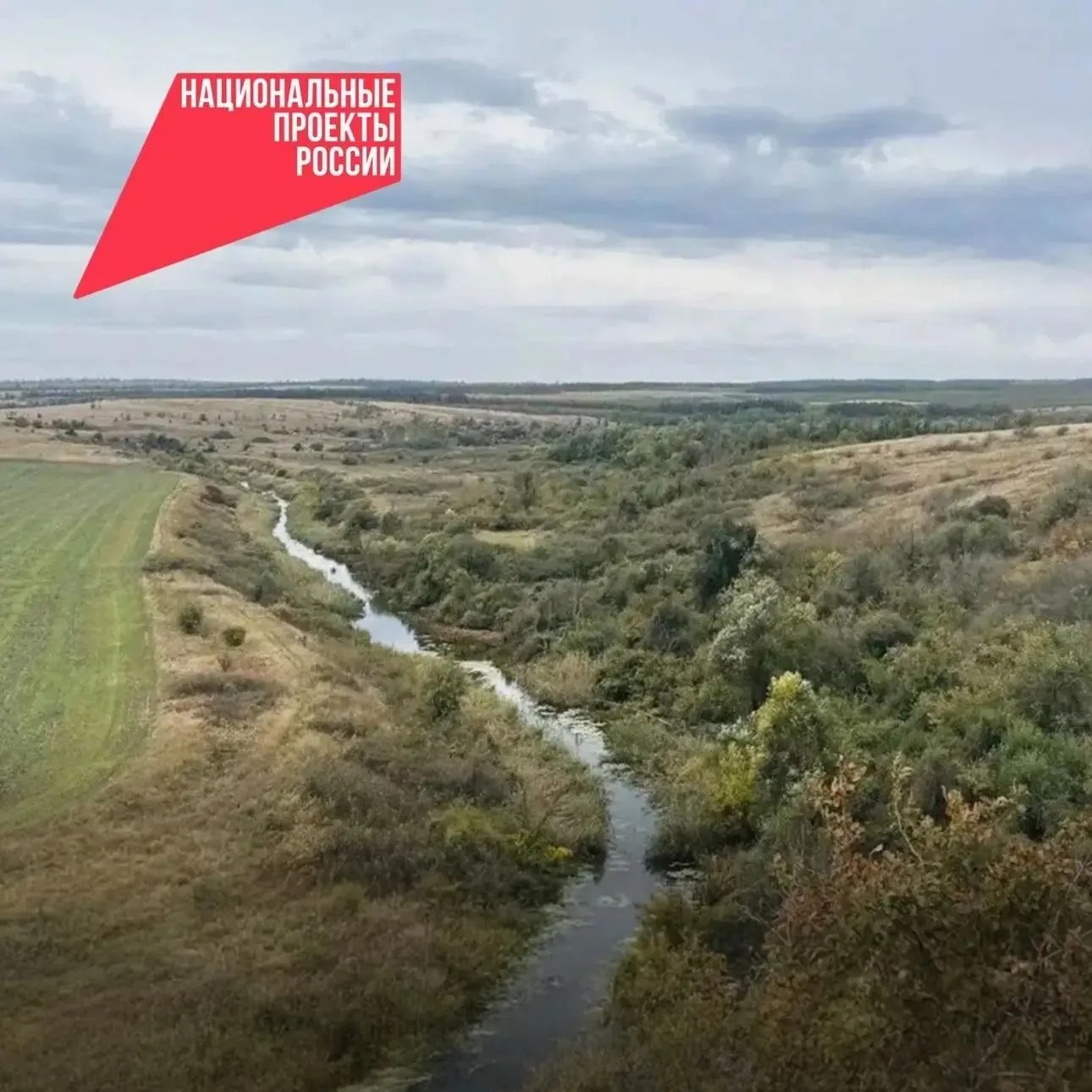 Заказник «Горненский» Красносулинского района участвует в конкурсе на звание лучшего эк...