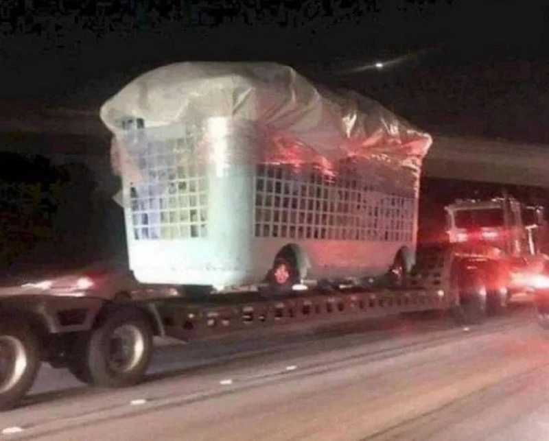 когда ты неделями игнорировала стирку