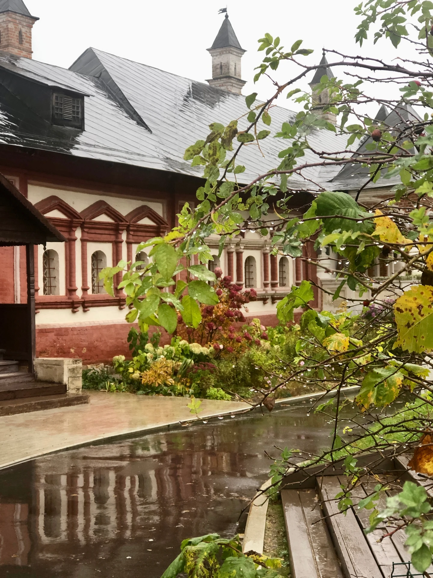 🍂 Осень не всегда балует нас солнцем, но умеет удивлять по-своему.
