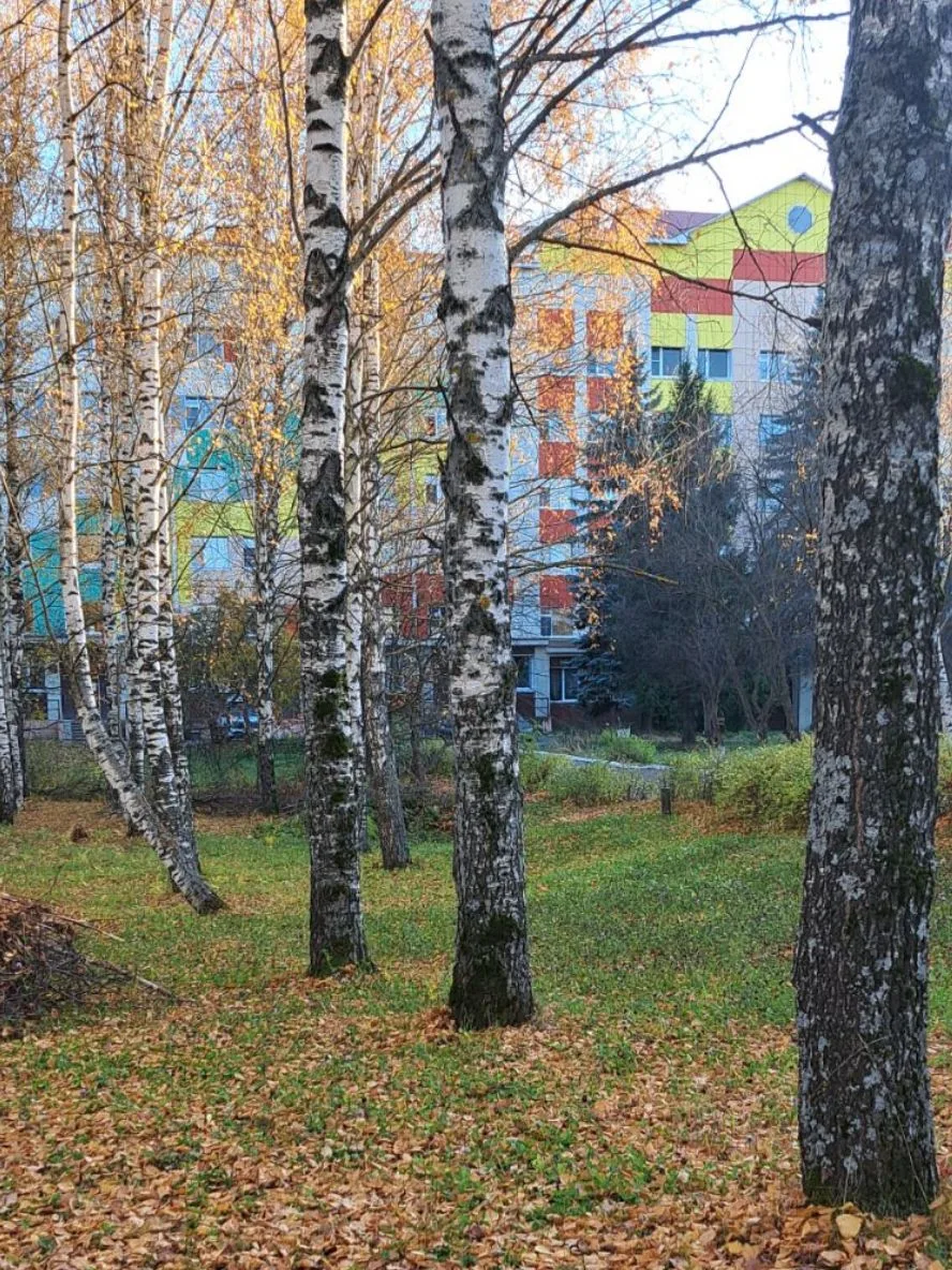 Квест пройден ✅