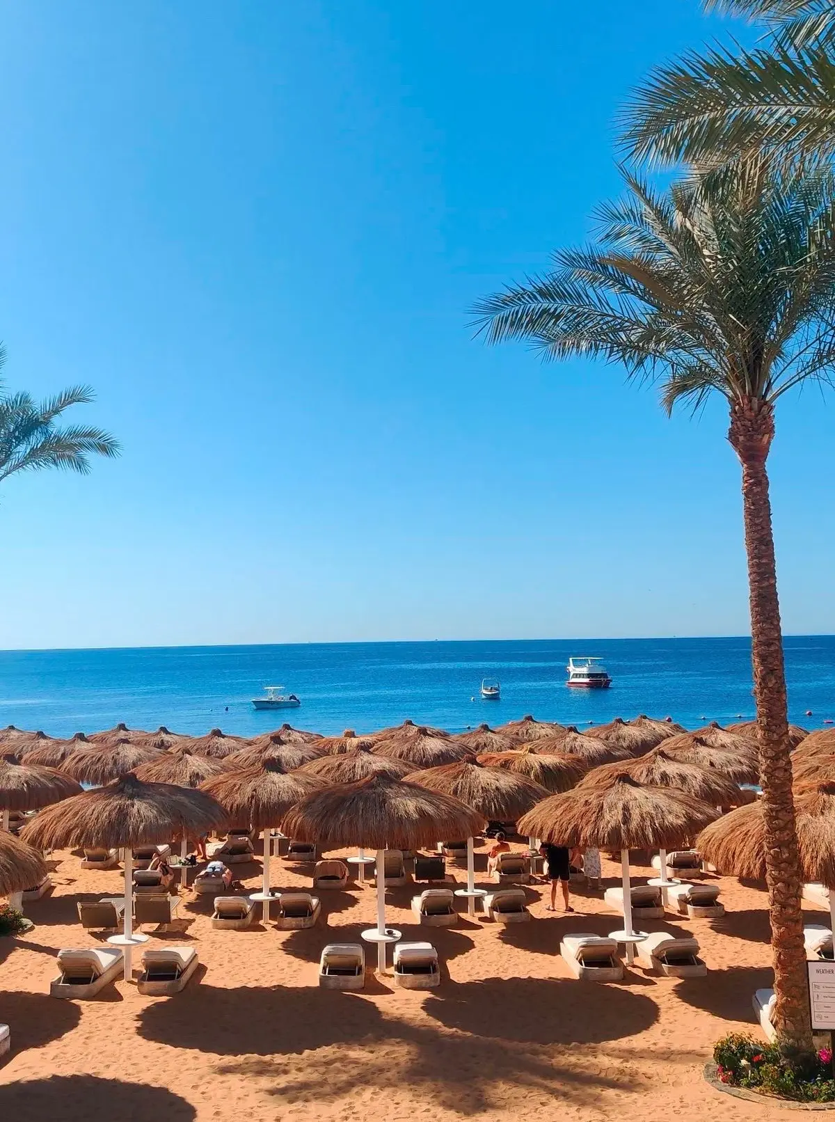 🏖️ Египет в ноябре — идеальный отпуск без суеты!