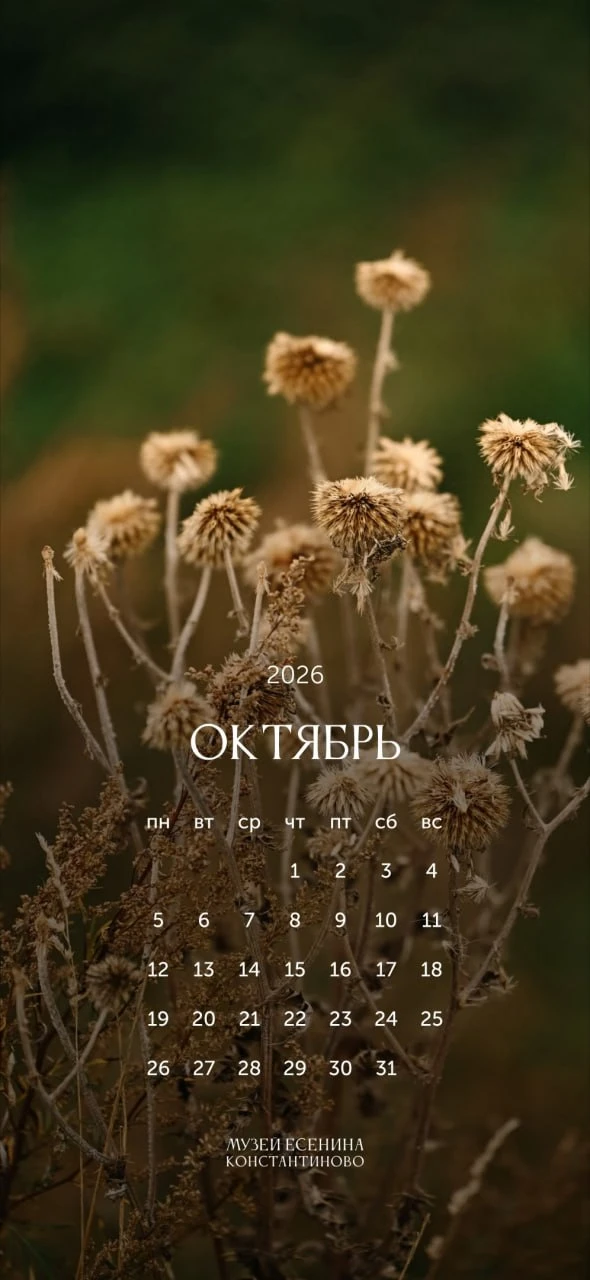 🍂 Октябрь пришёл в Константиново вместе с золотыми листьями, прохладой и дождями.