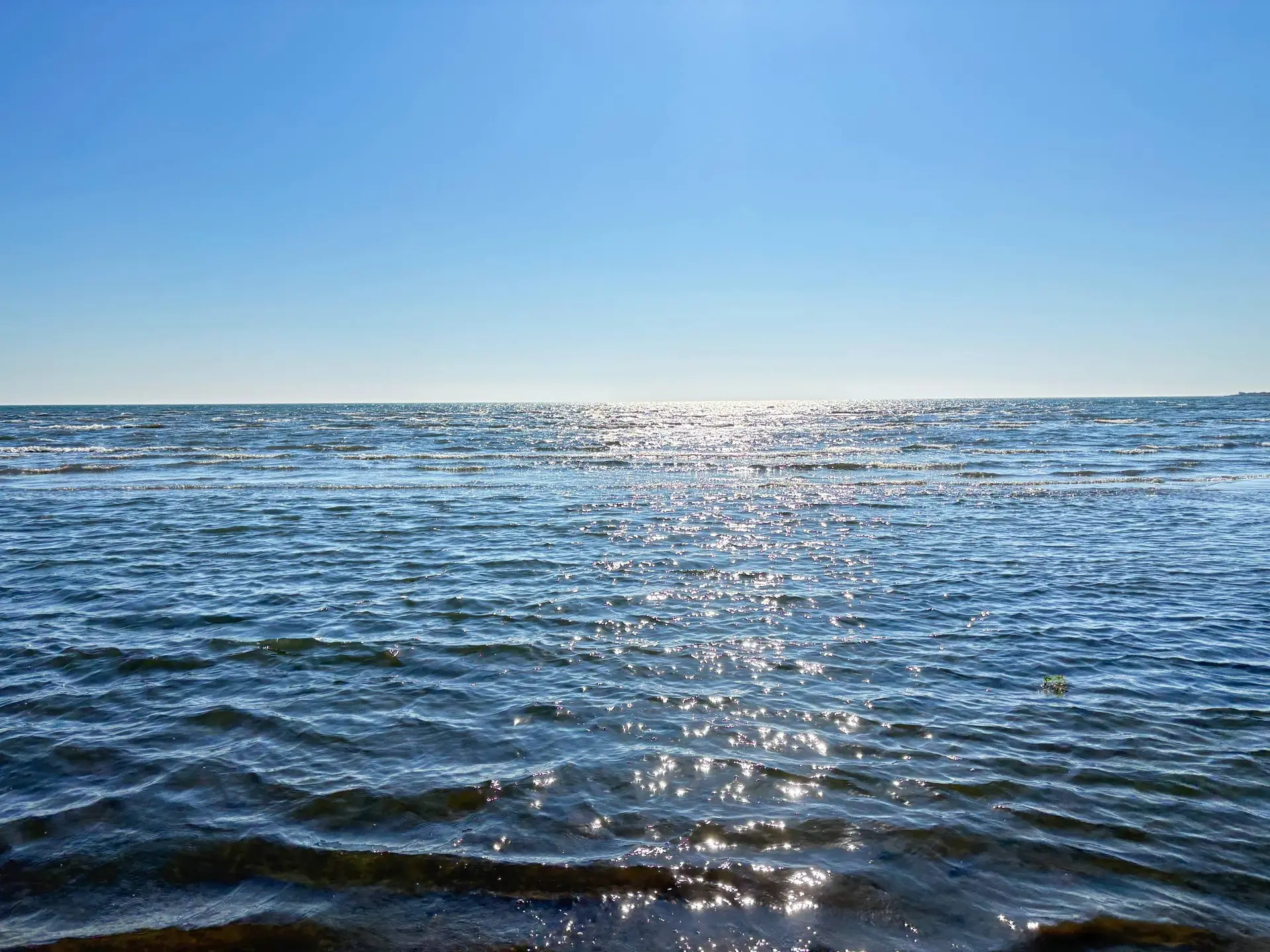 Моря в ленту сегодняшнего