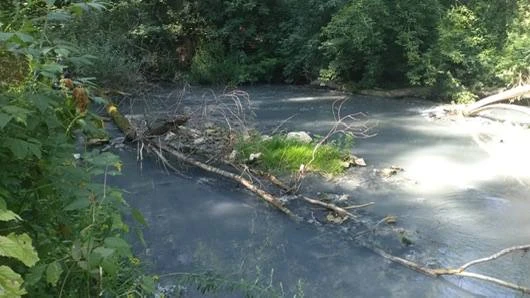Водоканал Алексина заплатит за загрязнение реки