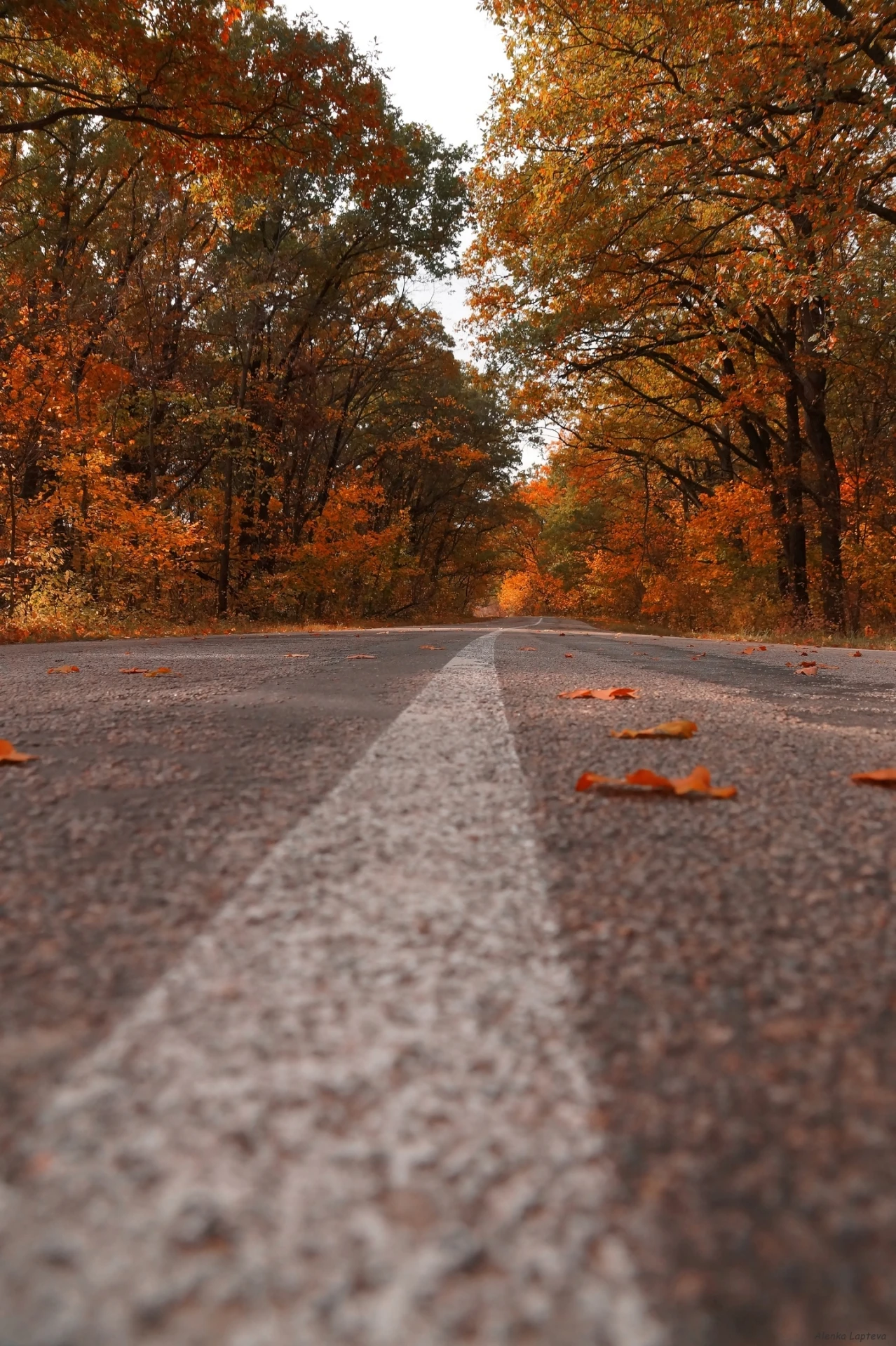 По дорогам Белгородской области 🍁