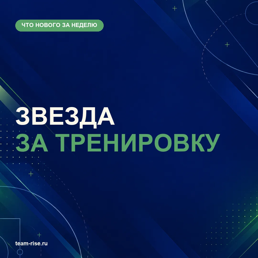 Что нового в TeamRise за неделю