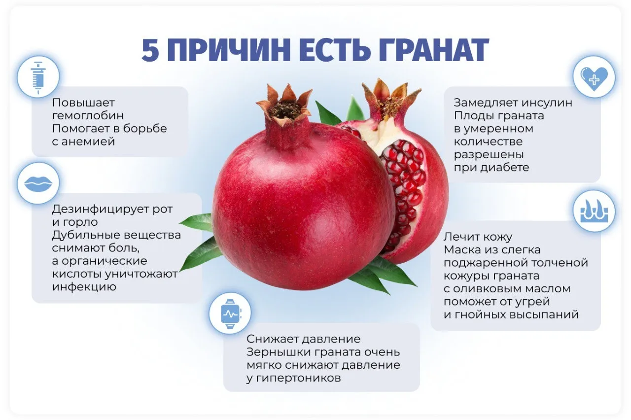 Гранат – это настоящий природный кладезь витаминов и микроэлементов. В нем содержится о...