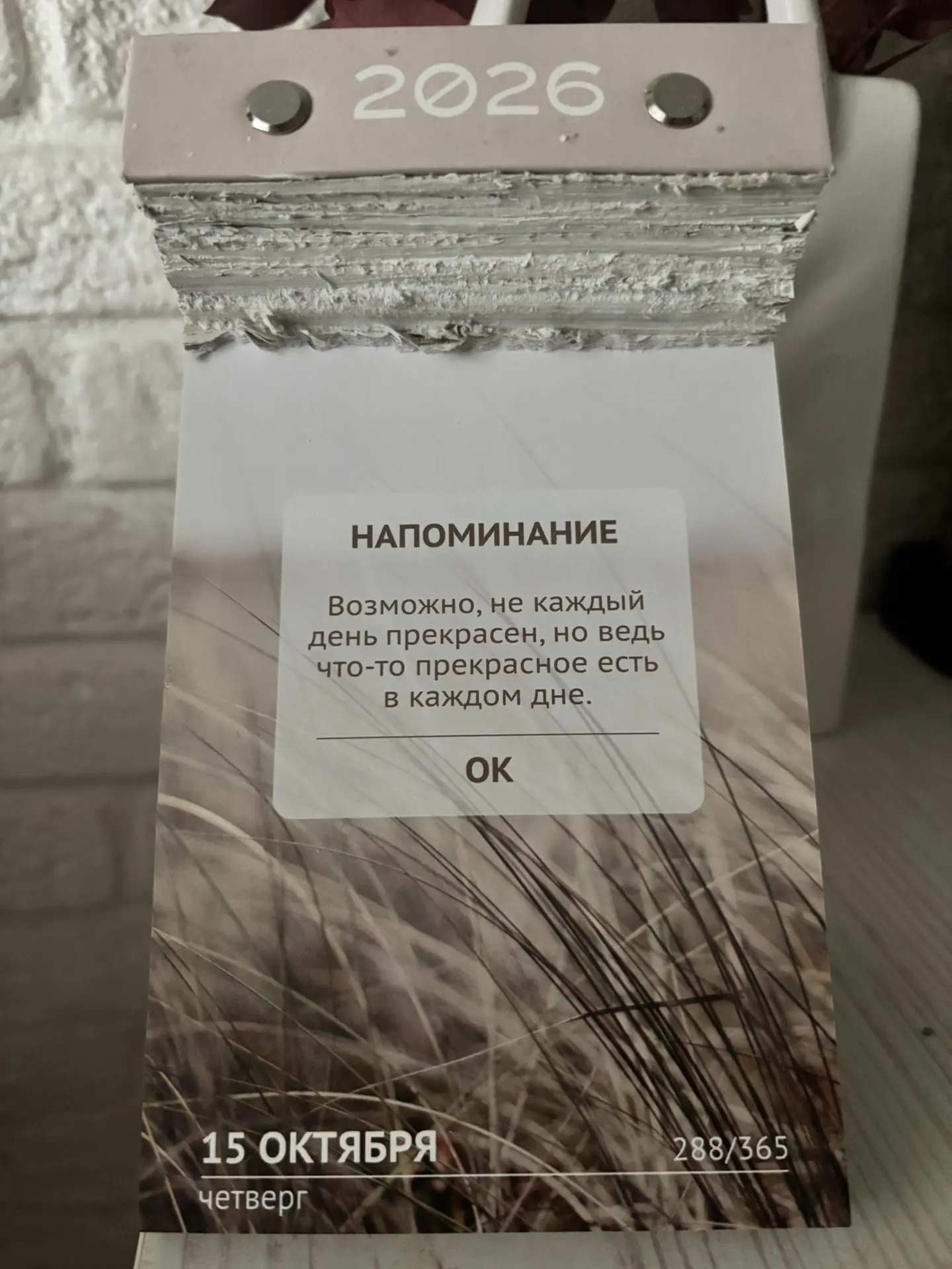 Доброе утро 🫶🏻